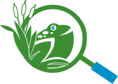odc