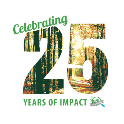 25th Anniversary  Thumbnail